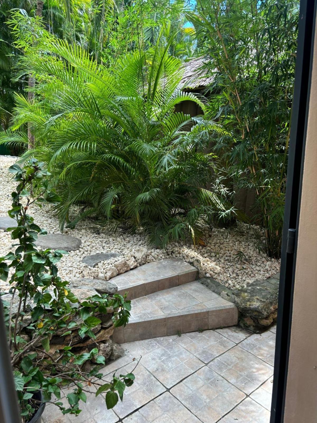 Le Petit Havre Tropical Guadeloupe, Gite, Massages & Spa Saint-Francois  Exterior photo